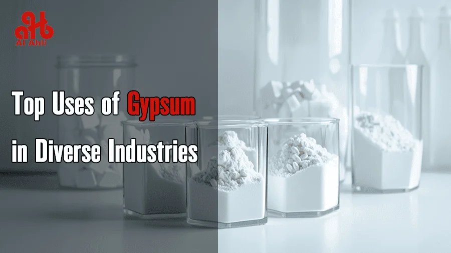 Top Uses of Gypsum in Diverse Industries